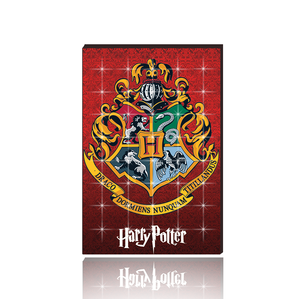 "Hogwarts Houses in Harry Porter" Fridge Magnet